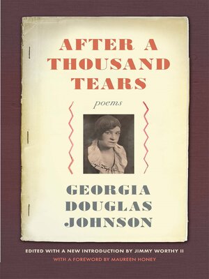 cover image of After a Thousand Tears